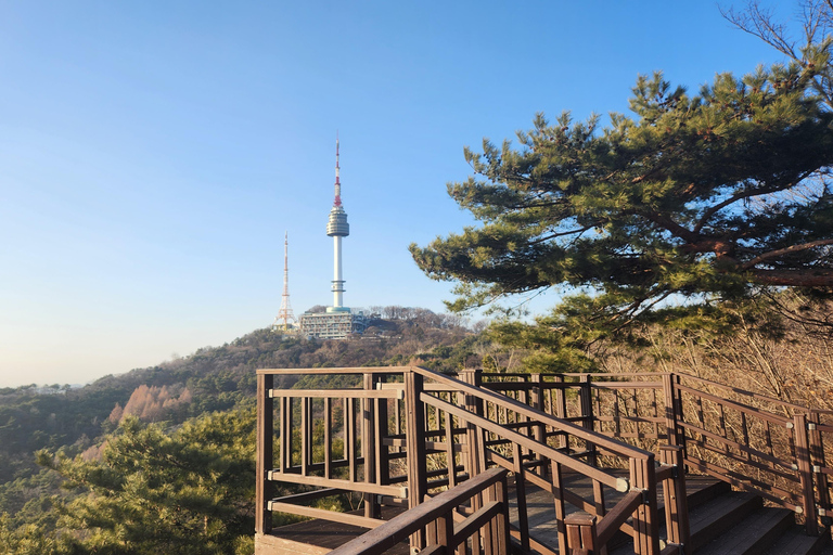 Seúl: Servicios de un lugareño por un día (Trámites/Tour/Diversión)