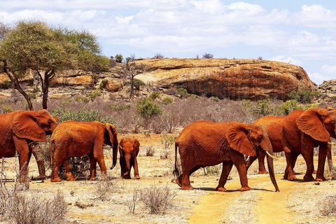 Nairobi: 3-dniowe niesamowite safari Amboseli i Tsavo West