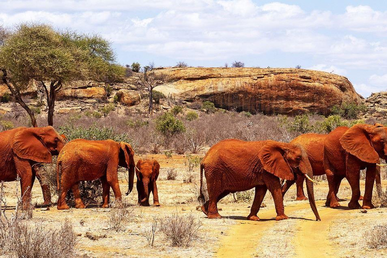 Mombasa: Übernachtungssafari nach Tsavo Ost vom Diani Beach aus