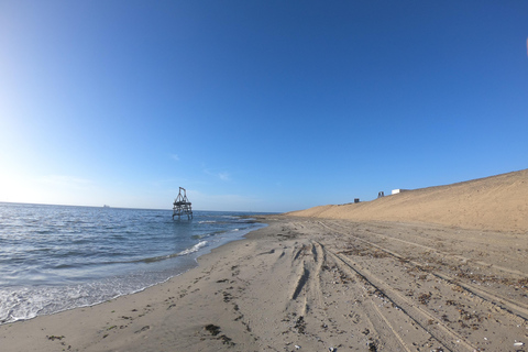 Swakopmund: Sunset Kayaking Tour with Hotel Pickup