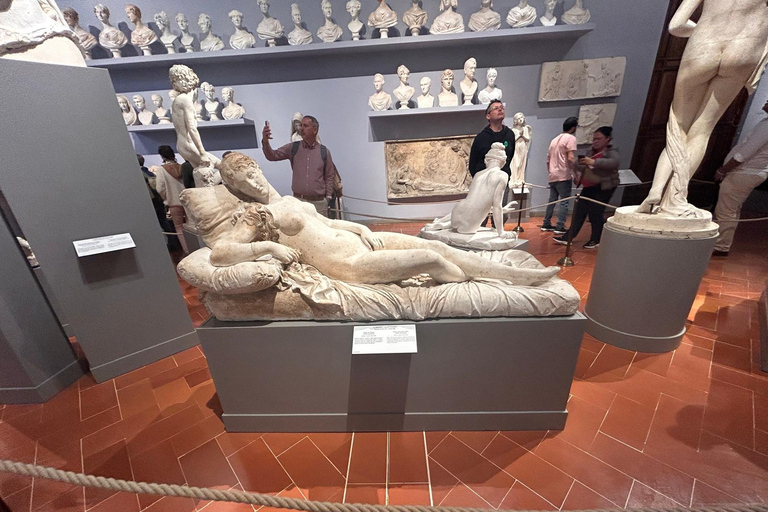 Firenze: Galleria dell&#039;Accademia David Ingresso e App Audioguida