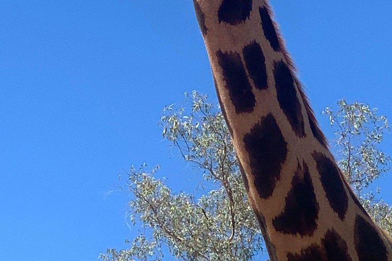 Cordoue : entrée au Centre de conservation Zoo CórdobaCordoue : Entrée au Centre de conservation du zoo de Cordoue
