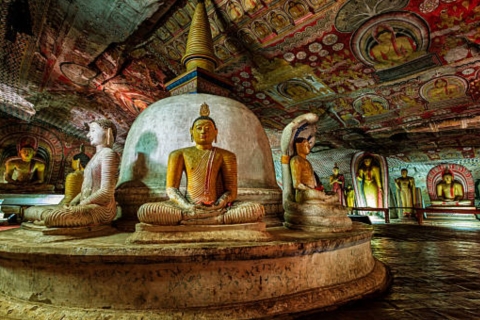 Colombo: Excursión a Sigiriya y Dambulla seguida de un Safari