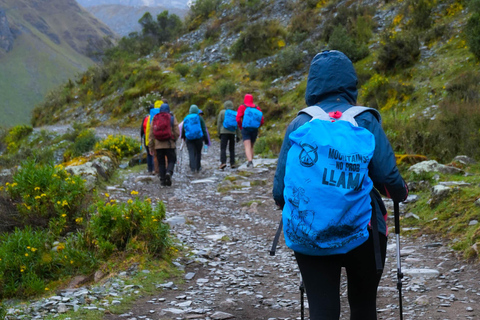 Cusco: 4-dagars Salkantay Trek till Machu Picchu, Panoramic Train