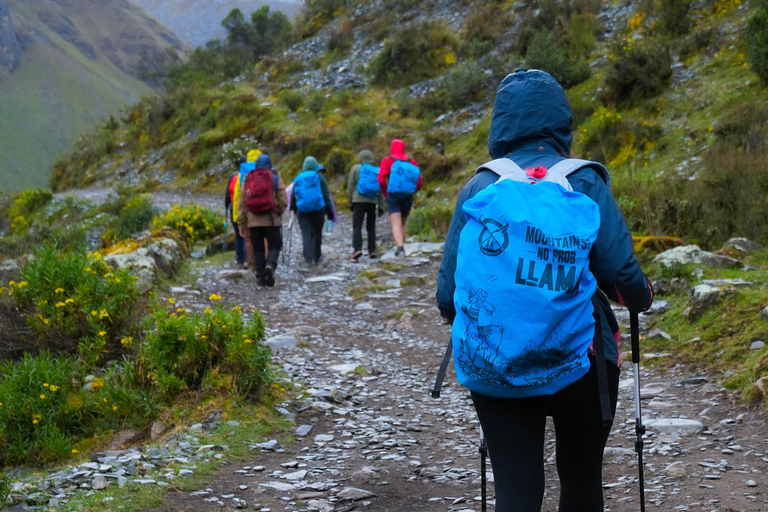 Cusco: 4-dagars Salkantay Trek till Machu Picchu, Panoramic Train