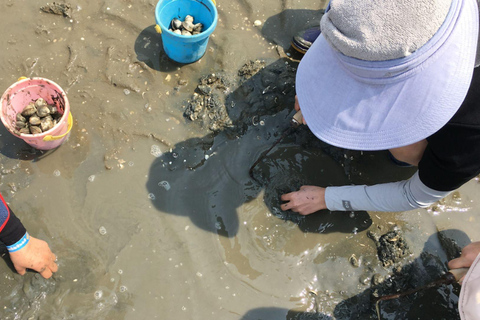 Från Busan: Geoje Mudflat Experience och koreansk gourmetmat