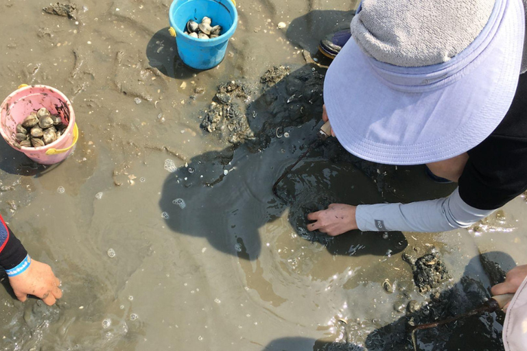 Från Busan: Geoje Mudflat Experience och koreansk gourmetmat