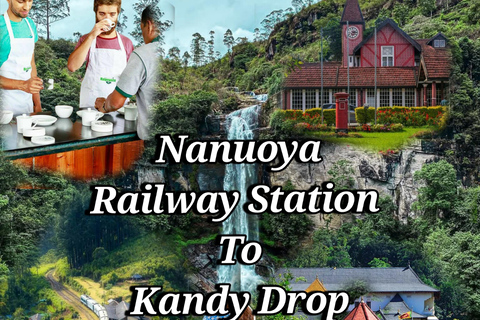 Nanuoya to Kandy Drop Tour With visiting special attractions Nanuoya to Kandy Drop Tour by tuktuk