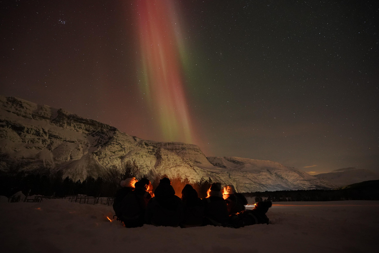 Tromsø: Northern Lights Tour – Unlimited Chase & Free Photos 6-8 Hours, Aurora chase, Comfortable bus, Photos included