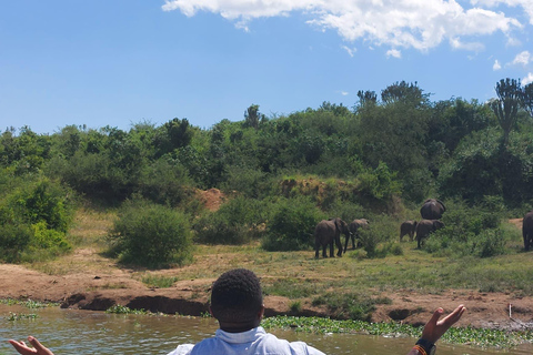 Ouganda : 3 jours de safari dans le parc national Queen Elizabeth