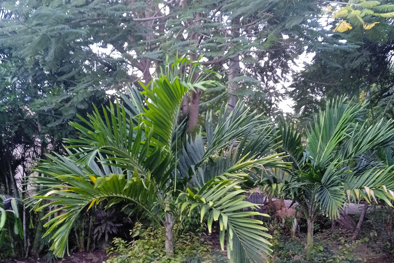 Full Tour of Puerto Plata and Surrounding Area