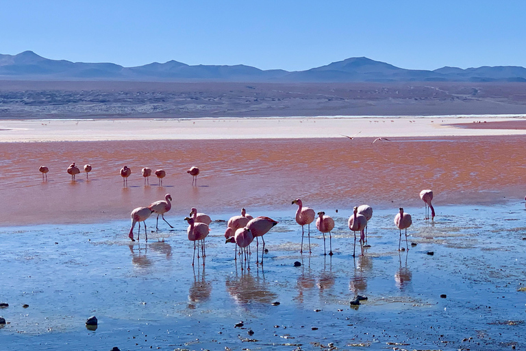 3-Day Uyuni Expedition to San Pedro de Atacama Tour with Spanish-speaking driver