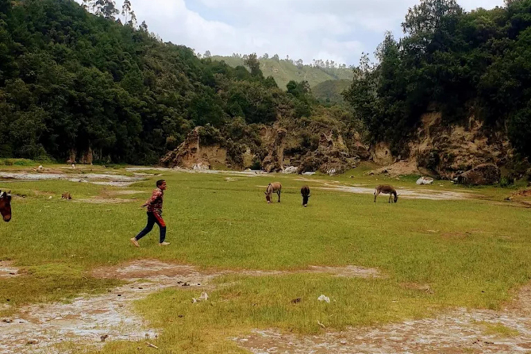 Wonchi Crater Lake: 2-Day Wellness Retreat