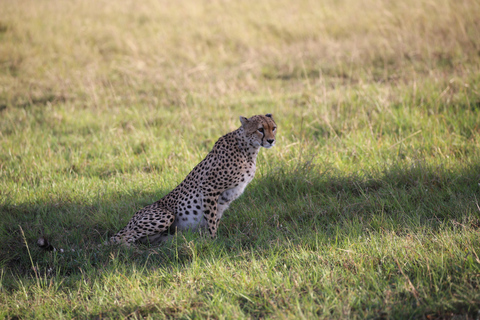 3 days and 2 nights masai mara safari from nairobi (Copy of) 3 days and 2 nights masai mara safari from nairobi