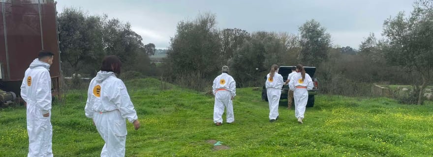Évora ou Montemor : visite guidée d'un rucher avec dégustation de miel