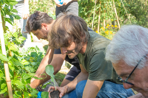 Lyon: tour gastronómico por el campo y clase de cocina con un chef