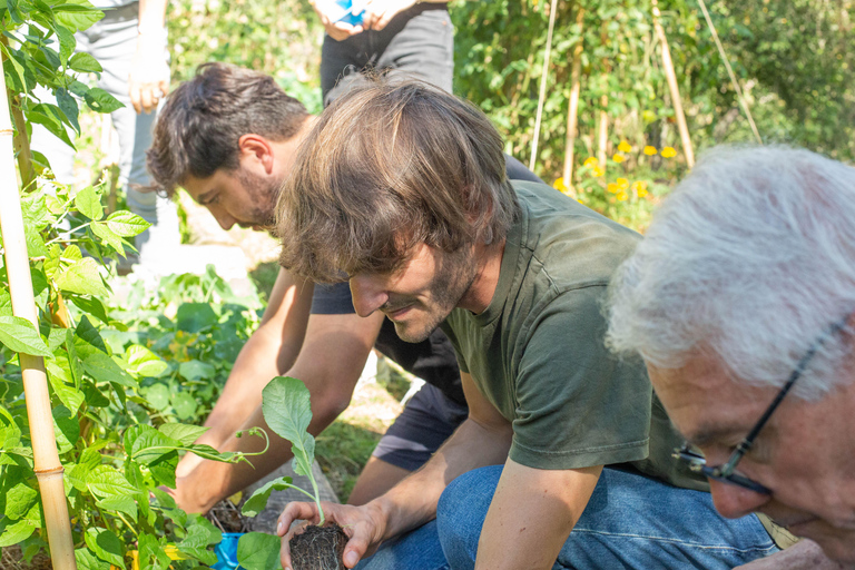 Lyon: tour gastronómico por el campo y clase de cocina con un chef
