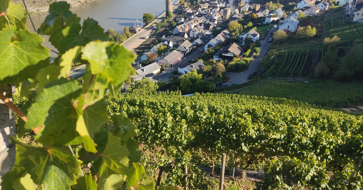 rhine river cruise wine tasting