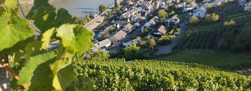 Visite privée de la vallée du Rhin avec croisière fluviale et dégustation de vins