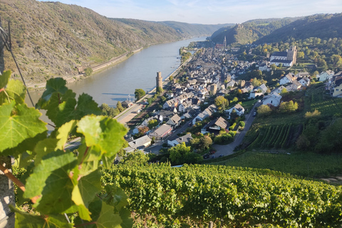 Tour privato della Valle del Reno con crociera sul fiume e degustazione di vini