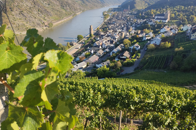 Tour privado por el Valle del Rin con crucero fluvial y cata de vinos