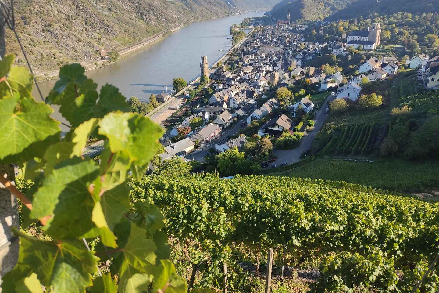 Private Rhine Valley tour with river cruise & wine tasting - Private Rhine Valley tour with river cruise & wine tasting