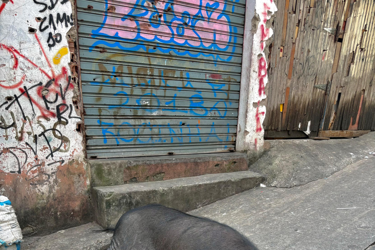 Rio de Janeiro: Favela Rocinha en Favela Vidigal TourRio de Janeiro: Favela Rocinha en Favela Vidigal tour