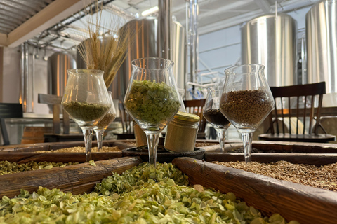 Bariloche: Beer Experience 'Discover the World of Craft Beer'