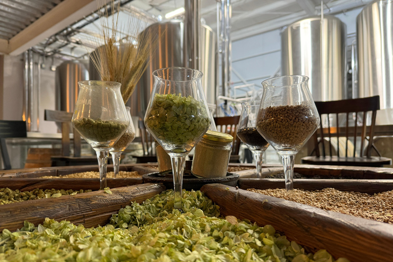 Bariloche: Beer Experience 'Discover the World of Craft Beer'