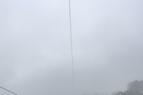 Bandung: White Crater, Scenic Tea Plantations & Hot Spring Open Tour: White Crater & Surroundings areas. with Tickets