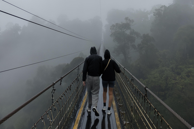 Bandung: White Crater, Scenic Tea Plantations & Hot Spring Open Tour: White Crater & Surroundings areas. with Tickets