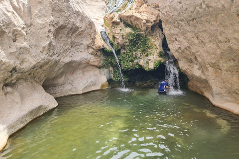 Muscat: Fins View, Wadi Jahal & Bimmah Tour