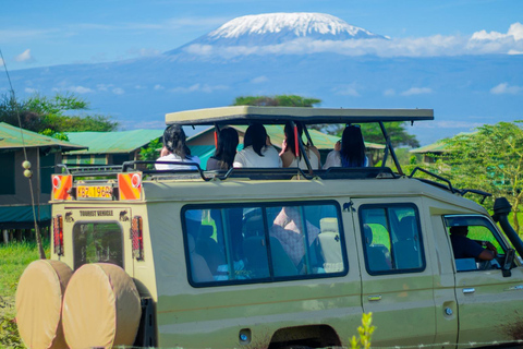 Nairobi National Park Half Day Guided Safaris in 4x4 Vehicle Private Half Day Guided Safaris in 4x4 Open roofed Van