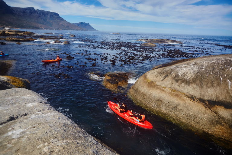 Cape Town: Guided Kayak Tour of Clifton Beaches & The Coast