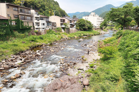 Gujo Hachiman Day Trip: Mountain Castle & Traditional Town The popular Gujyo town tour