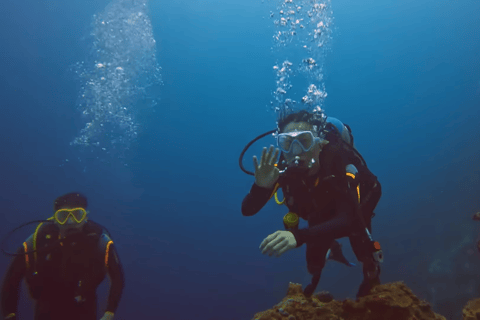 Moalboal : Scuba Diving Sardine Run and Turtle Chasing Scuba Diving: Sardine Run, Turtle Chasing &Pescador Island