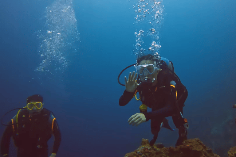 Moalboal : Scuba Diving Sardine Run and Turtle Chasing Scuba Diving: Sardine Run, Turtle Chasing &Pescador Island