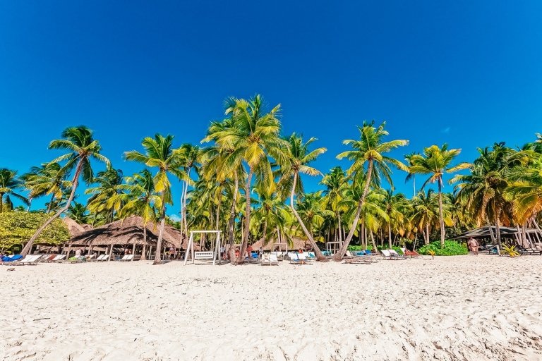 Punta Cana: All-inclusive-Ausflug zur Insel SaonaStandard: All-inclusive-Ausflug zur Insel Saona