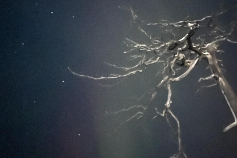 Saariselkä: Private National Park Walk with Cowboy Coffee