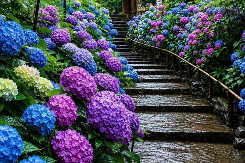 Kyoto & Osaka: Private Customizable Day Trip with Guide