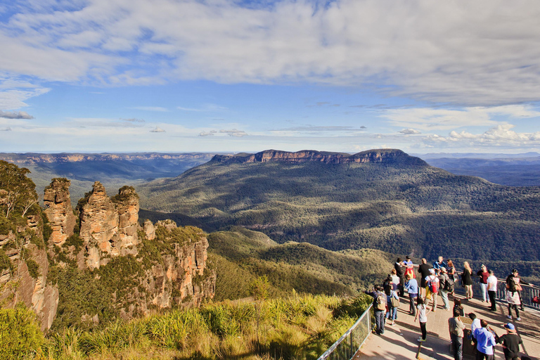 Blue Mountains Tour w/Lunch: Scenic World, Zoo & Koala Photo