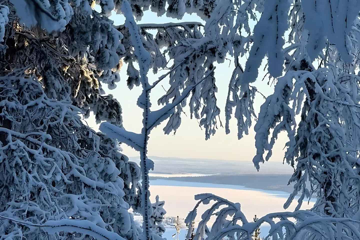 Kiruna: Dagferð á snjóskóm