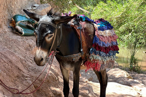 Agadir: Paradise Valley & Atlas Mountains Day Trip