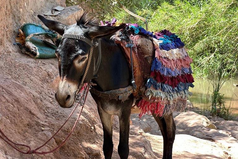 Agadir: Paradise Valley & Atlas Mountains Day Trip