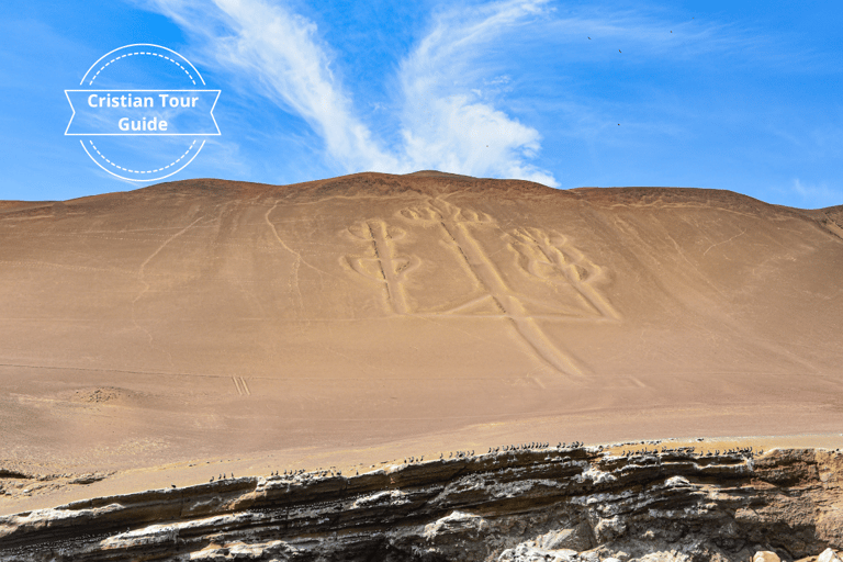 From Lima: Excursion Oasis de Huacachina, Islas Ballestas! From Lima: Paracas, Huacachina, and Ballestas Islands Day …