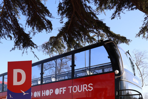 Stambuł: bilet na autobus hop-on hop-off