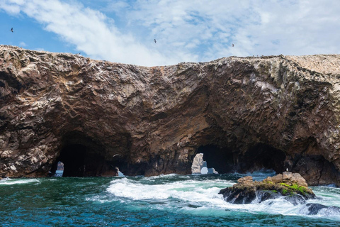 From Lima: Ballestas Islands, adventure in Ica and Glamping