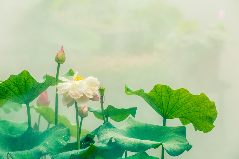 Beppu: Sound Bath Wellness Retreat at Ocean View Studio Private Sound Bath Wellness Retreat at Ocean View Studio