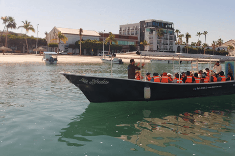 La Paz: Boat ride to Espiritu Santo island and sloop