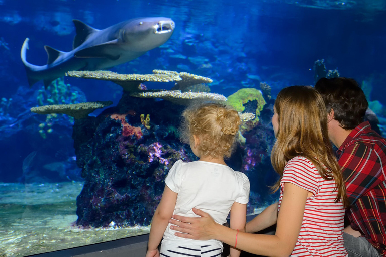 Istanbul: Aquarium Tour with Hotel Transfer Hotel Pickup & Aquarium Tour